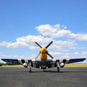 EFlite P-51D Mustang 1.5m BNF Basic (EFL01250)