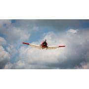 EFlite T-28 Trojan 1,2m van E-flite