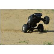 Team Corally TRITON ST - 1/10 Monster Truck 2WD - RTR - Brushed Power - Geen batterij - Geen oplad