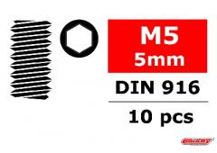 C-3004-50-05 Staal stelschroeven M5 x 5mm - Binnenzeskant - 10 st