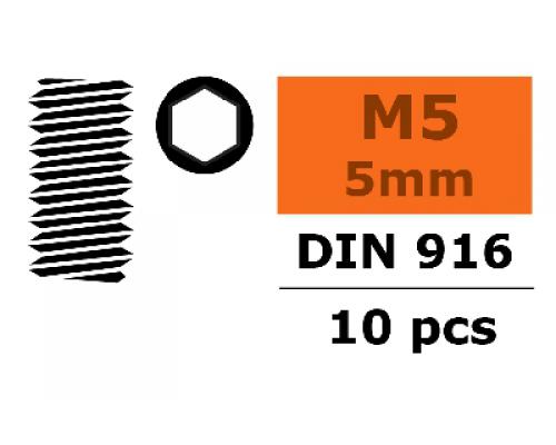 Stelschroef - Binnenzeskant - M5X5 - Staal - 10 st