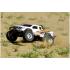 Team Corally MAMMOTH SP - 1/10 Monster Truck 2WD - RTR - Brushed Power - Geen batterij - Geen opla