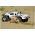 Team Corally MAMMOTH SP - 1/10 Monster Truck 2WD - RTR - Brushed Power - Geen batterij - Geen opla