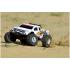 Team Corally MAMMOTH SP - 1/10 Monster Truck 2WD - RTR - Brushed Power - Geen batterij - Geen opla