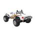 Team Corally MAMMOTH SP - 1/10 Monster Truck 2WD - RTR - Brushed Power - Geen batterij - Geen opla