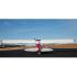 Hangar 9 Carbon Cub FX-3 100-200cc ARF, 4.2m (HAN5280)