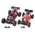 Team Corally - ASUGA XLR 6S - RTR - Groen - Brushless Power 6S - Geen batterij - Geen oplader C-0028