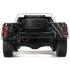 Losi Black Rhino Ford Raptor Baja Rey 1/10th 4wd DT RTR (LOS03020T2)