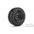 PR10128-10 Hyrax 1.9\" G8 Rock Terrain Truck Tires Mounted for Rock Crawler Front or Rear, Mounted on
