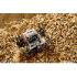 Team Corally - DEMENTOR XP 6S - Model 2021 - 1/8 Monster Truck SWB - RTR - Brushless Power 6S - No B