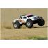 Team Corally MAMMOTH SP - 1/10 Monster Truck 2WD - RTR - Brushed Power - Geen batterij - Geen opla